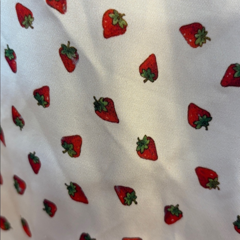 Satin satin strawberry pant Zara nwt - Picture 4 of 8